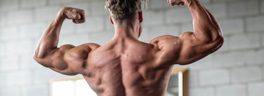 Four Ways to Maximize your Back Potential