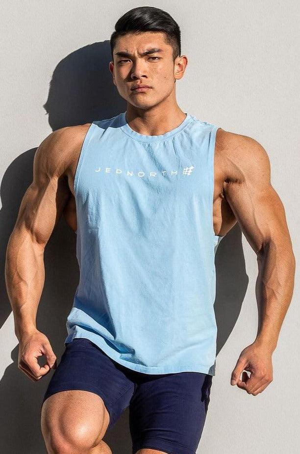 Men's Sleeveless Training Tee - Blue - Jed North